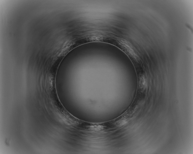 X0000091590363200708271249