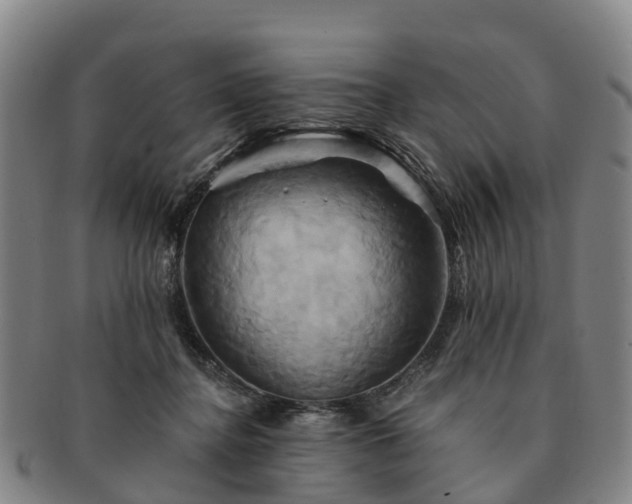 X0000091590364200708271249