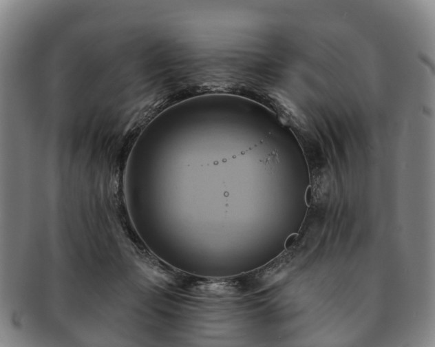 X0000091590365200708271249