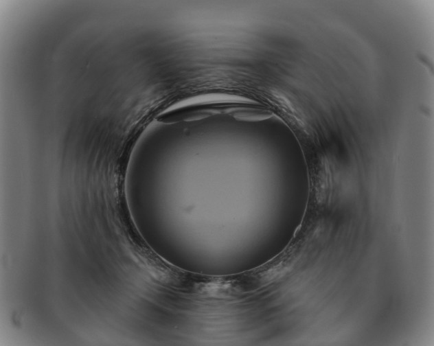 X0000091590366200708271249