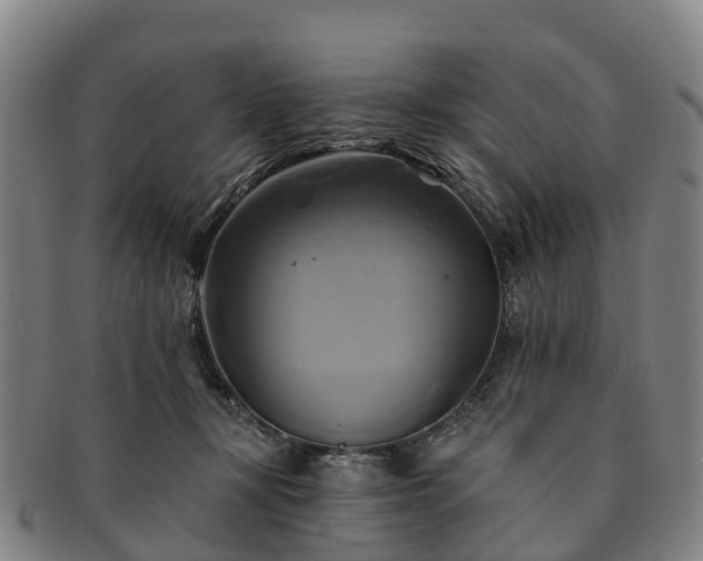 X0000091590367200708271249