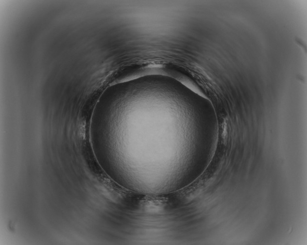 X0000091590368200708271249