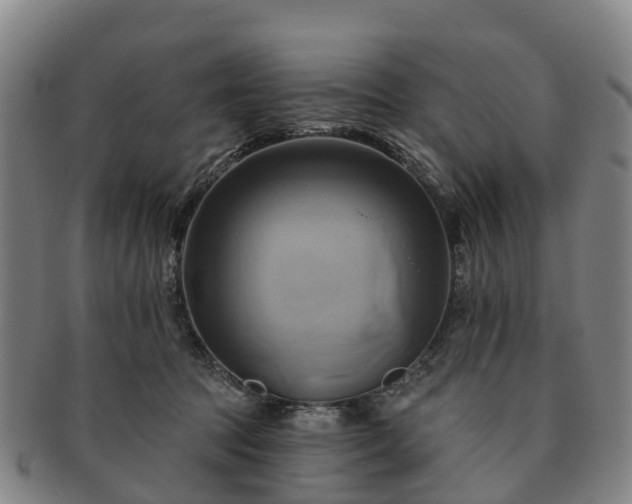 X0000091590369200708271249