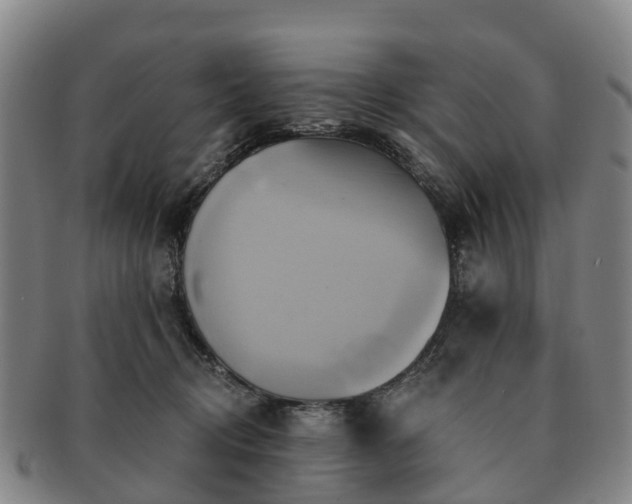 X0000091590370200708271249