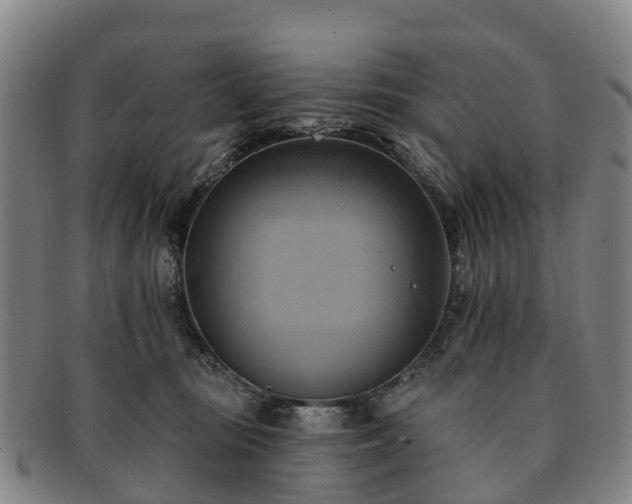 X0000091590371200708271249