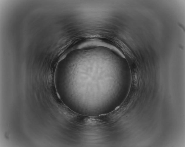 X0000091590372200708271249