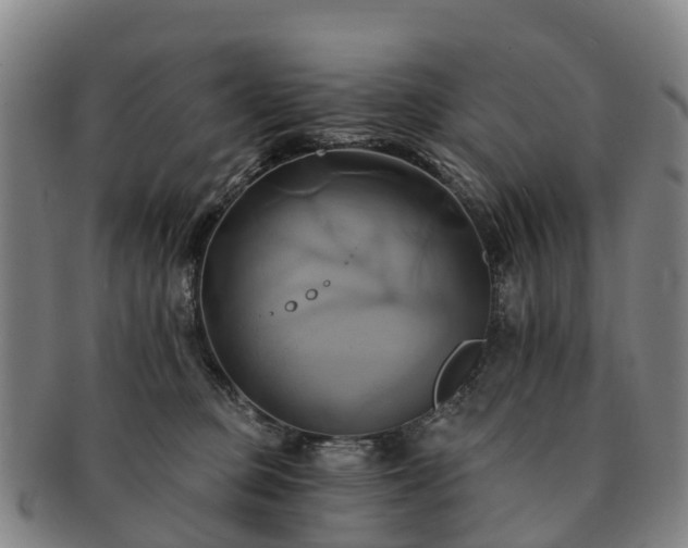 X0000091590373200708271249