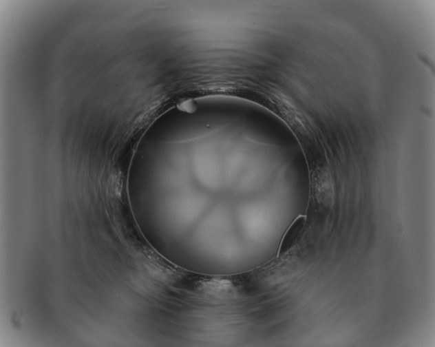 X0000091590374200708271249