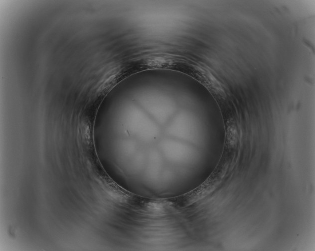 X0000091590375200708271249