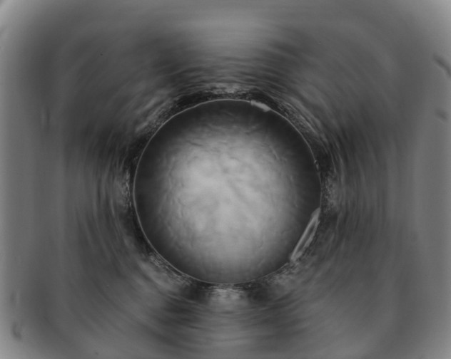 X0000091590376200708271249