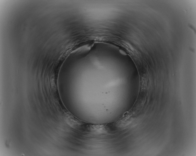 X0000091590377200708271249