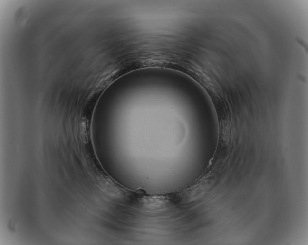 X0000091590378200708271249
