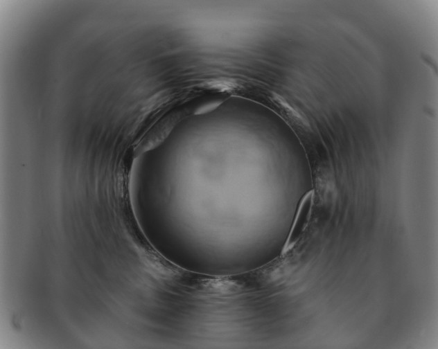 X0000091590379200708271249
