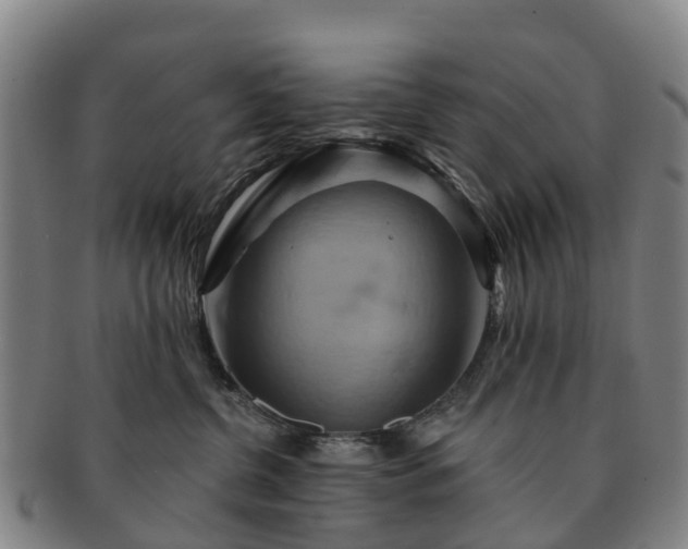 X0000091590380200708271249