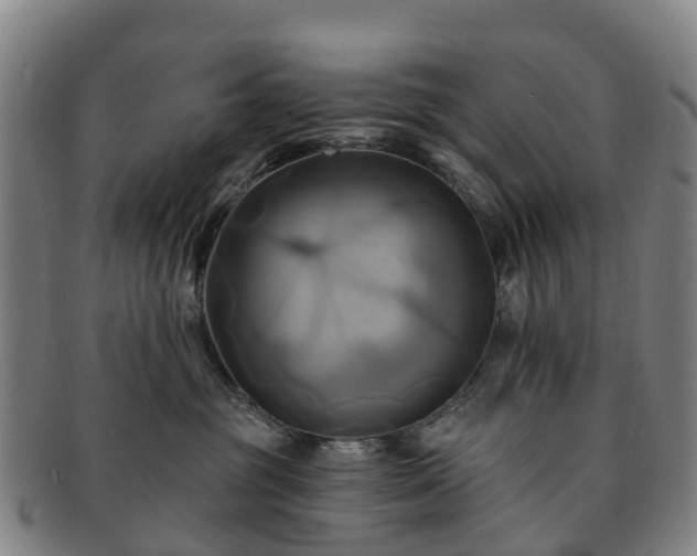X0000091590381200708271249