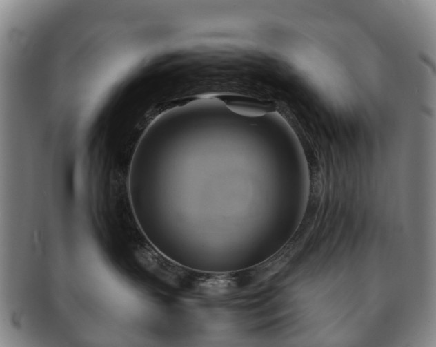 X0000091590383200708271249