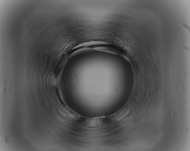 X0000091590384200708271249