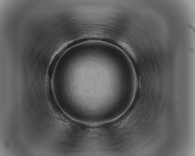 X0000091590388200708271248