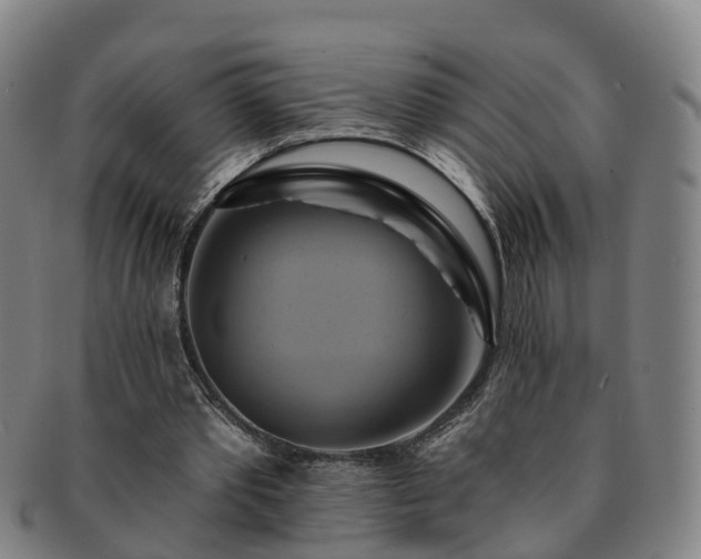 X0000091590389200708271248