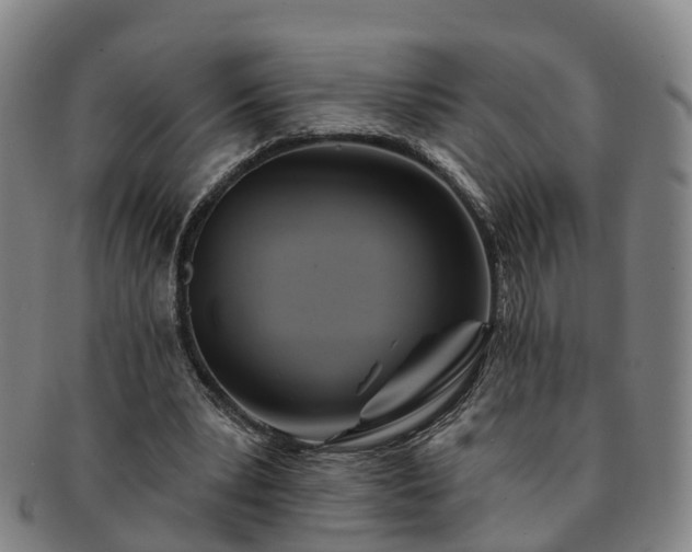 X0000091590391200708271248