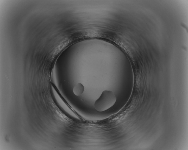 X0000091590393200708271248