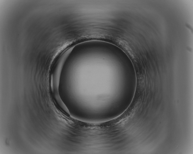 X0000091590395200708271248