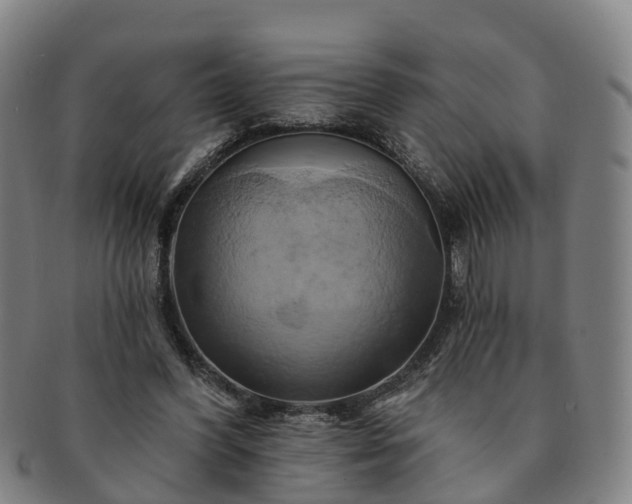 X0000091590396200708271248