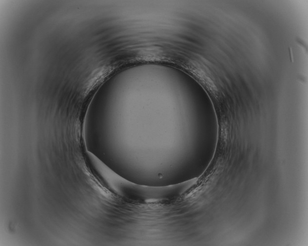 X0000091590397200708271248