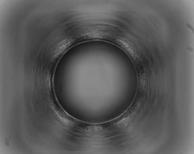 X0000091590398200708271248