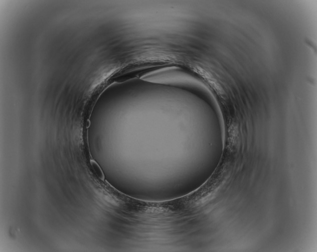 X0000091590399200708271248