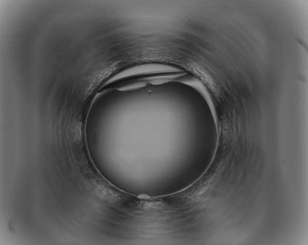 X0000091590401200708271248