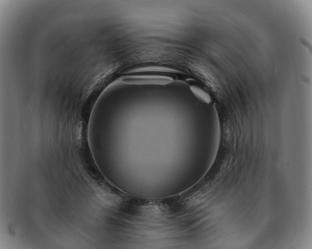 X0000091590404200708271248