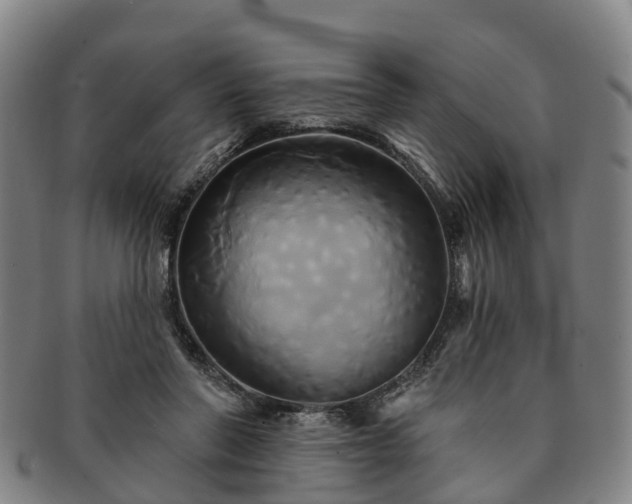 X0000091590406200708271248