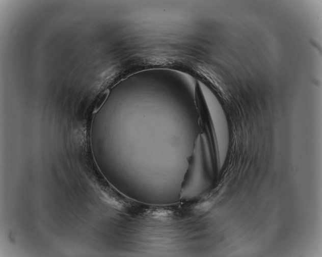 X0000091590407200708271248