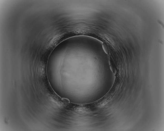 X0000091590408200708271248