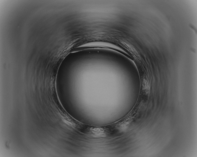 X0000091590409200708271248