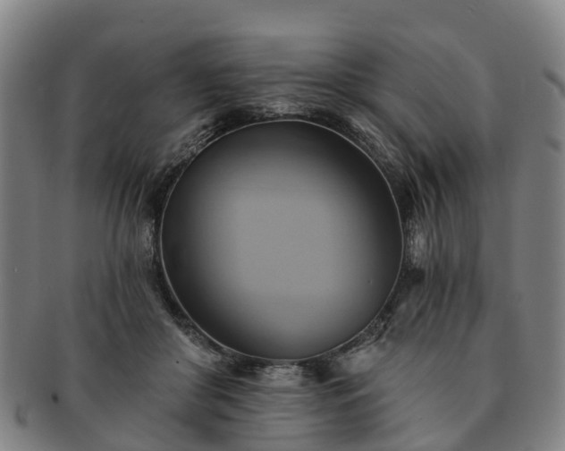 X0000091590410200708271248