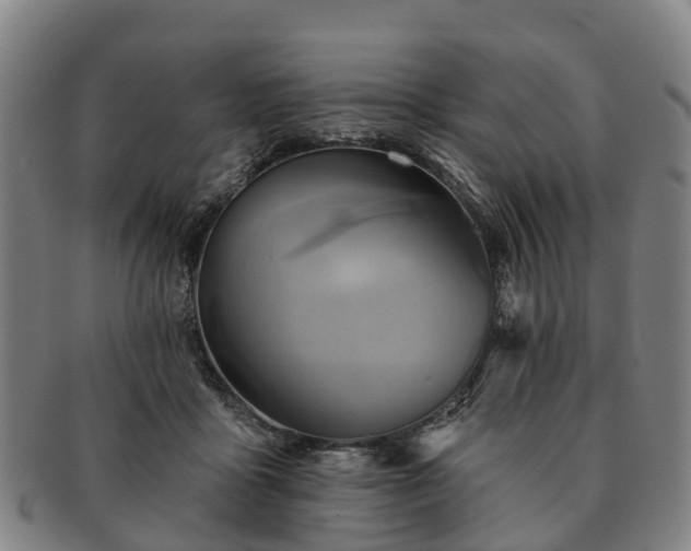 X0000091590411200708271248