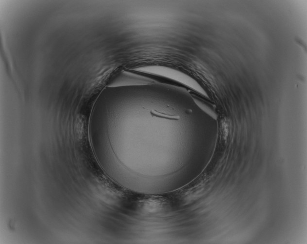X0000091590412200708271248