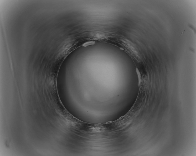 X0000091590415200708271248