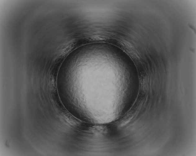 X0000091590418200708271248