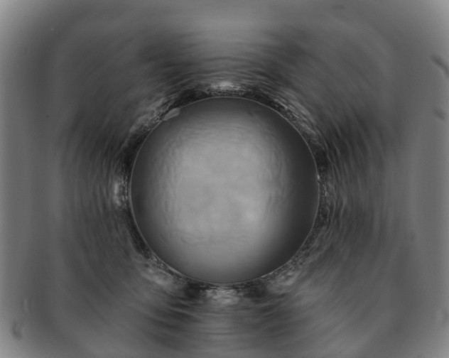 X0000091590419200708271248