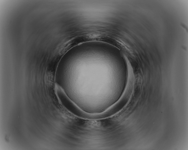X0000091590421200708271248