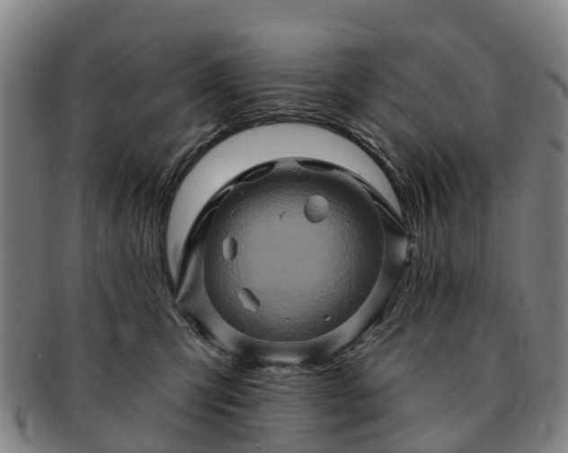 X0000091590423200708271247