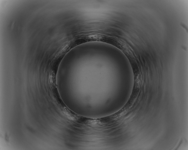 X0000091590424200708271247