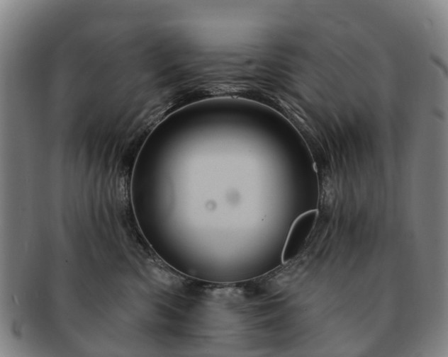 X0000091590426200708271247