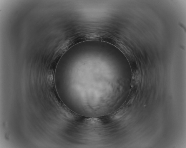 X0000091590427200708271247