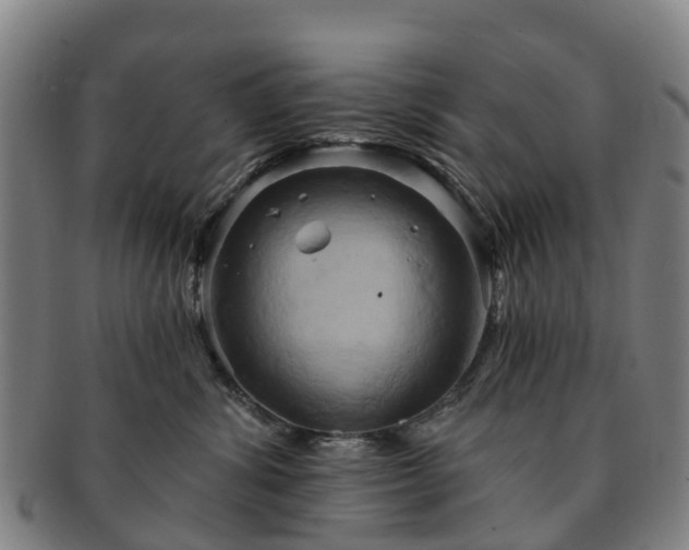 X0000091590428200708271247