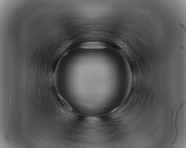 X0000091590429200708271247