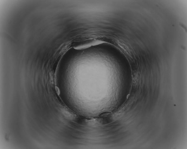 X0000091590430200708271247